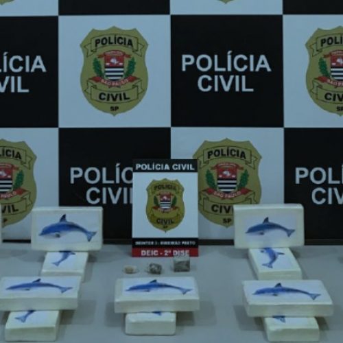 REGIÃO: Dise apreende 18 tijolos de cocaína com adesivos de golfinho