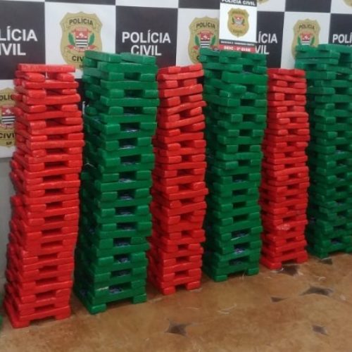 REGIÃO: Polícia Civil apreende 323 kg de maconha