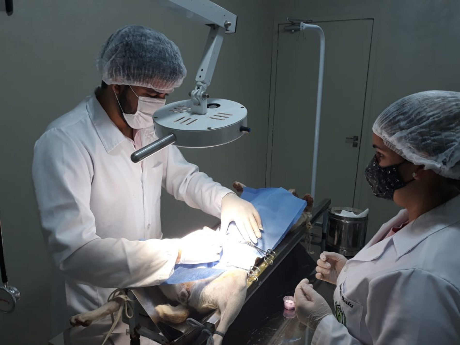 BARRETOS: Centro Veterinário abre nova agenda para castrações