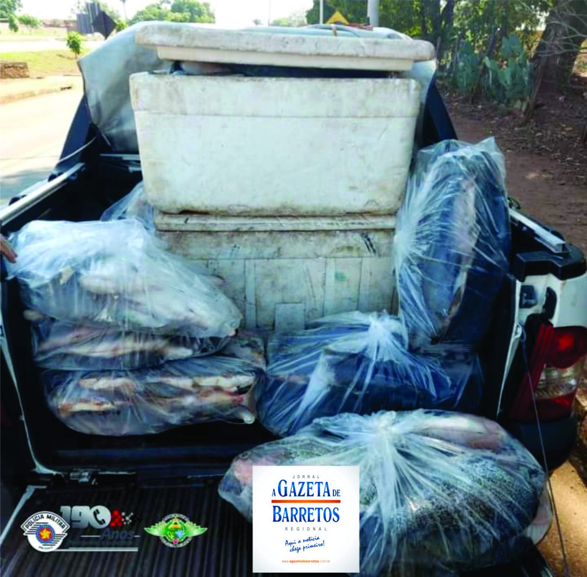 COLÔMBIA: Polícia Ambiental aprende mais 279 kg de Peixes