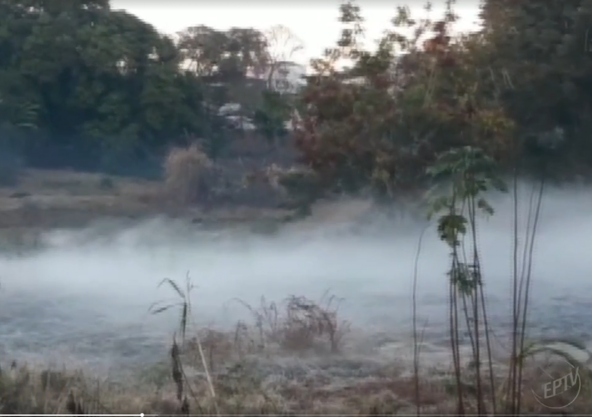 Barretos registrou até 1,8°C na madrugada desta terça-feira (20)