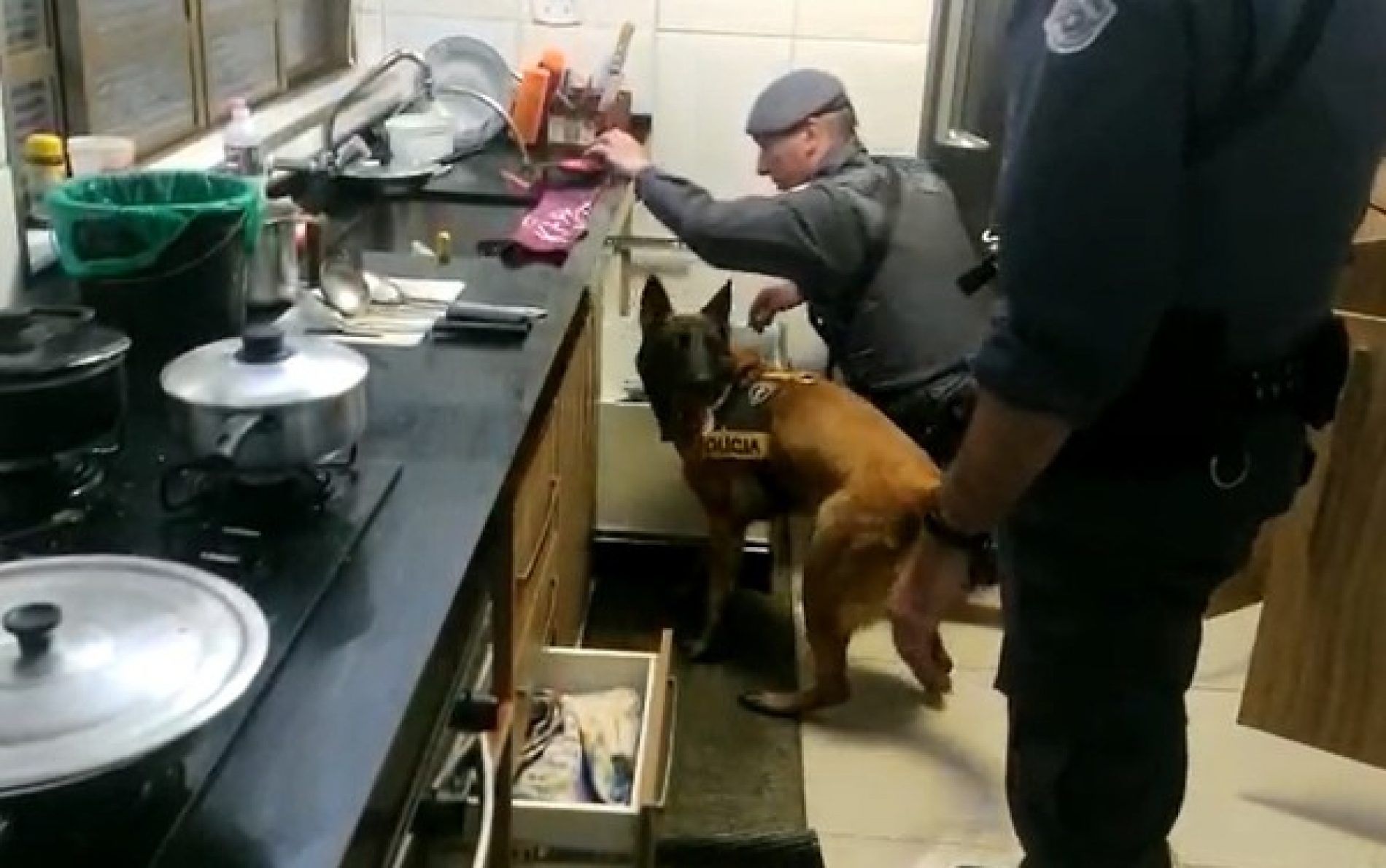 REGIÃO: Baep prende suspeito de tráfico após cão achar 5 kg de crack na casa dele