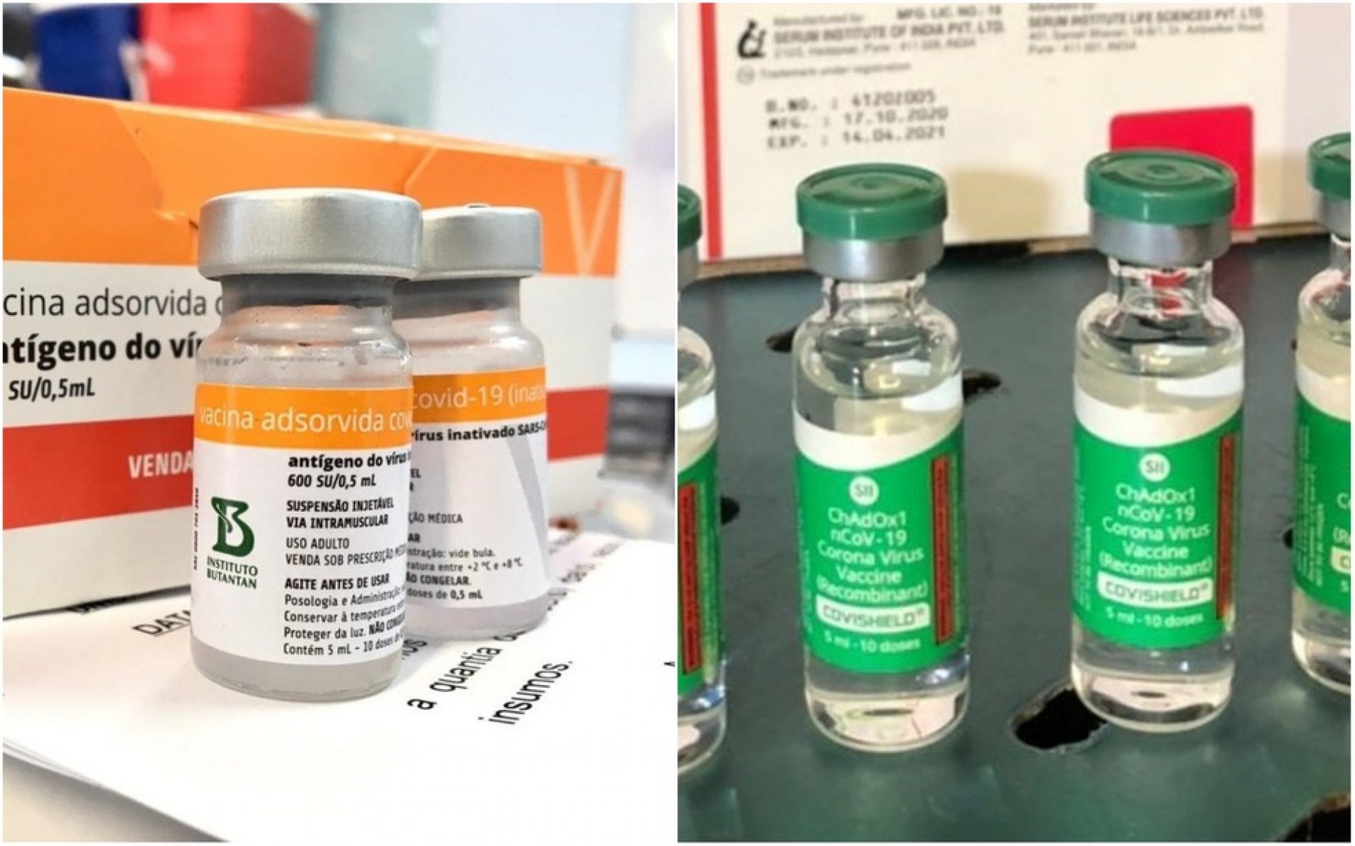 REGIÃO: Vacina da Covid foi aplicada em crianças de 0 a 9 anos em Ribeirão Preto, apontam dados da prefeitura