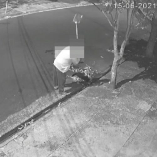 REGIÃO: Homem é denunciado após matar gato e câmera de segurança flagrar crime