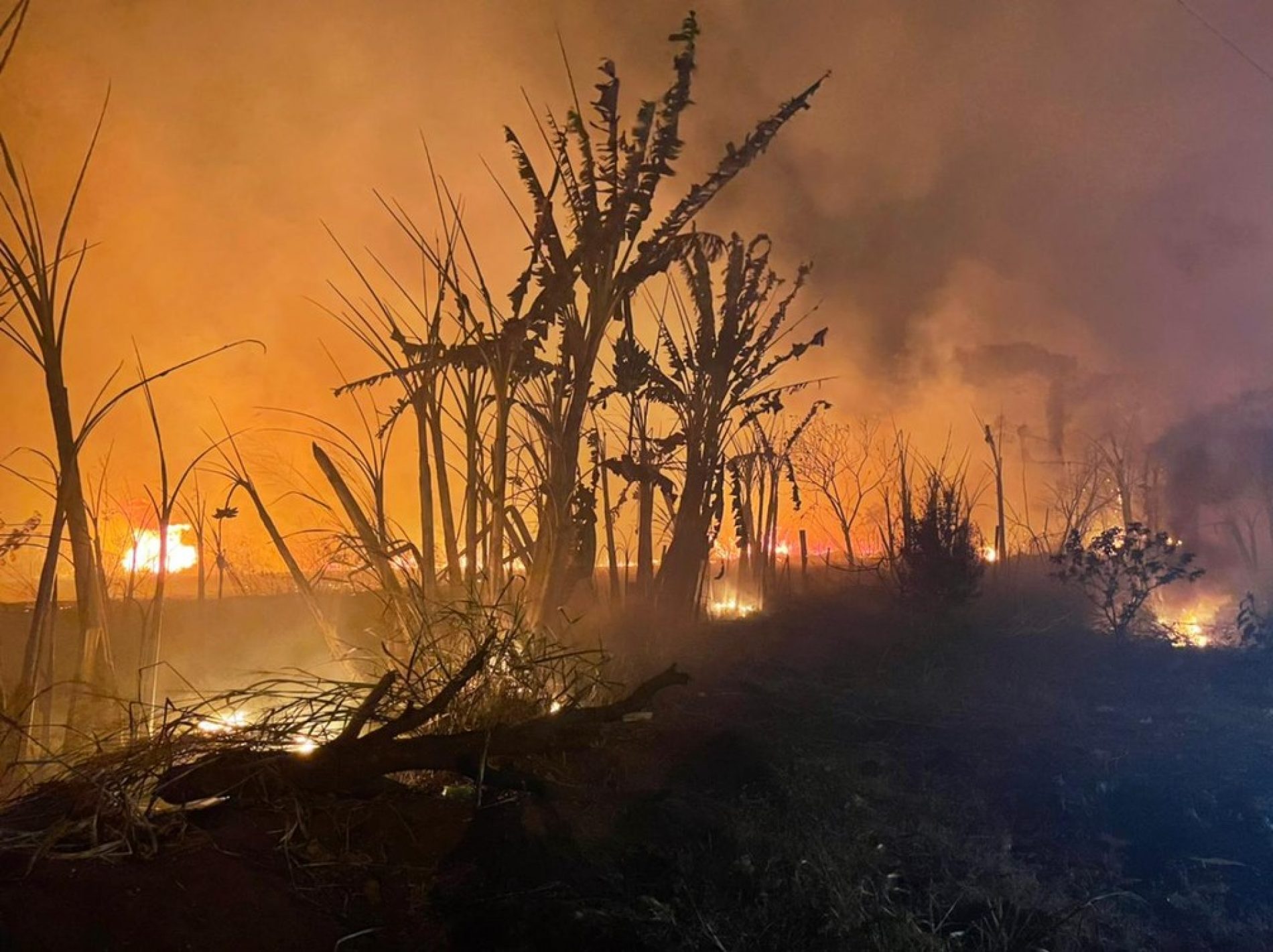 REGIÃO: Incêndio de grandes proporções atinge assentamento