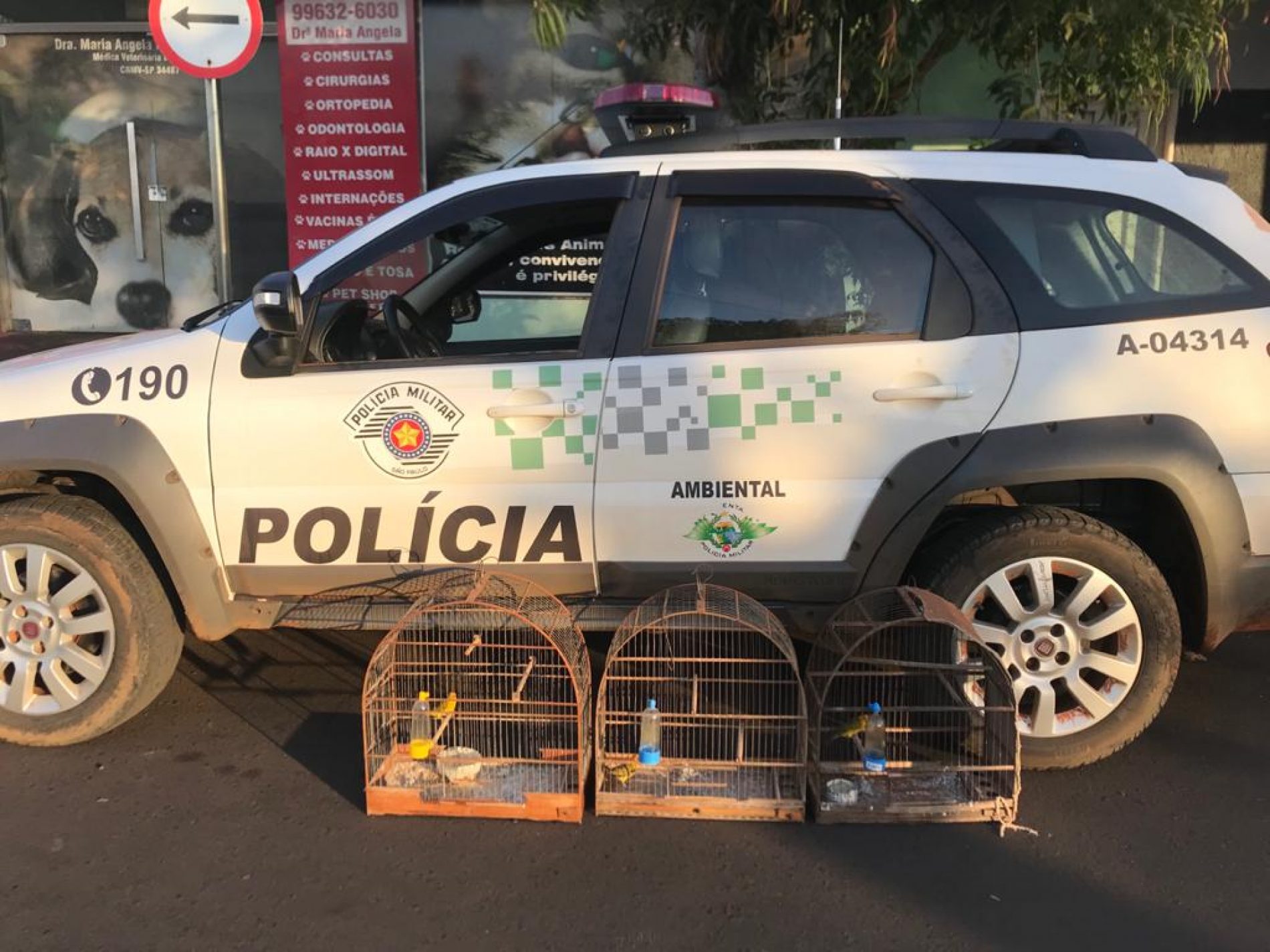 BARRETOS: Polícia Ambiental aplica multas após apreender aves e jacaré abatido