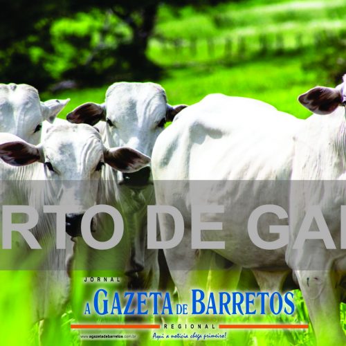 BARRETOS: Furto de gado em área do Distrito Industrial