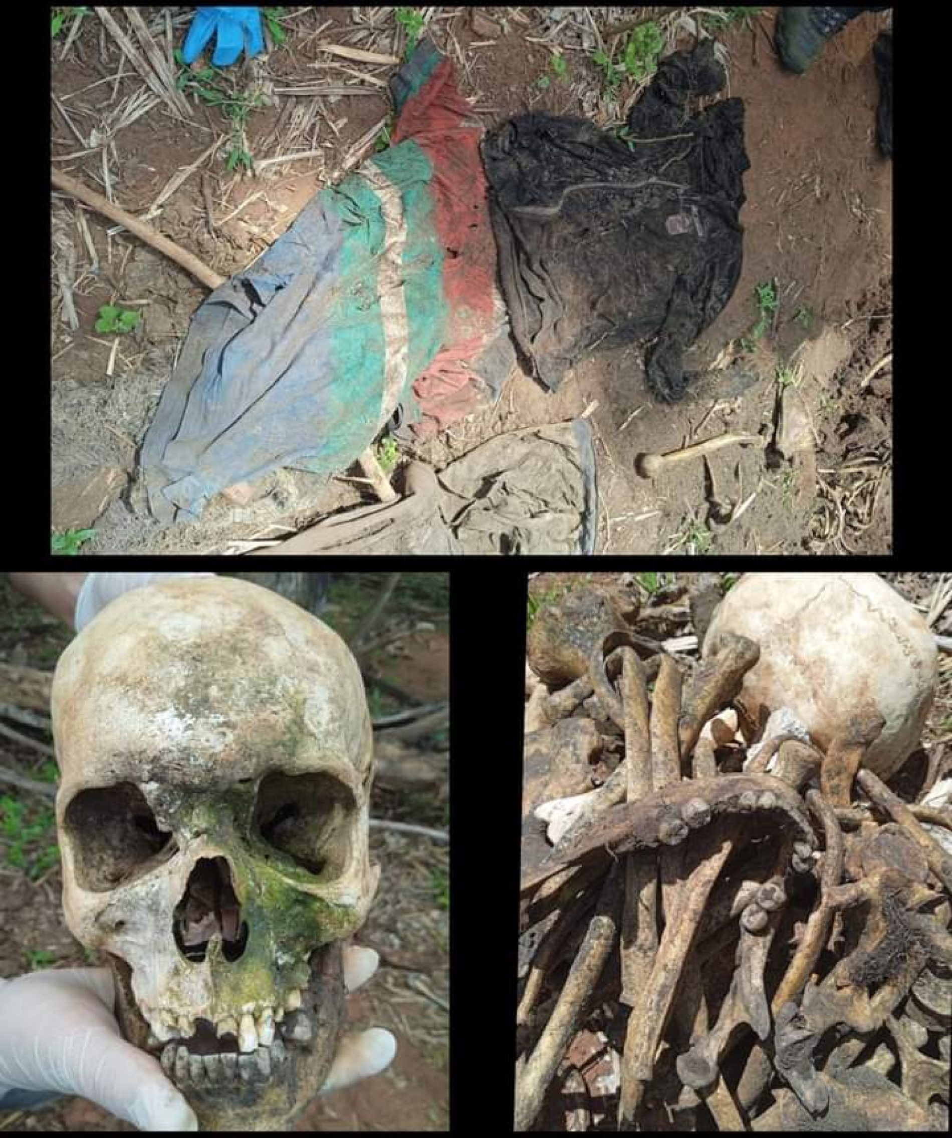 GUARACI: Ossada humana e várias peças de roupas são encontradas em fazenda