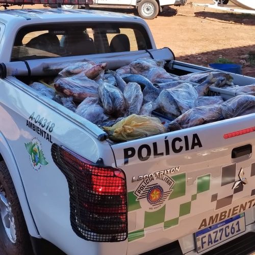 Policiais Ambientais apreendem pescados e aplicam quase 80 mil em multas
