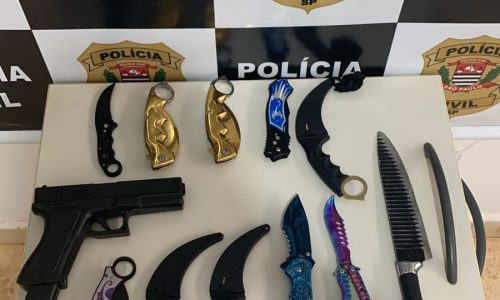 Policia Civil de Colina apreende facas em residências de dois adolescentes em investigação sobre ameaças de ataques a escola